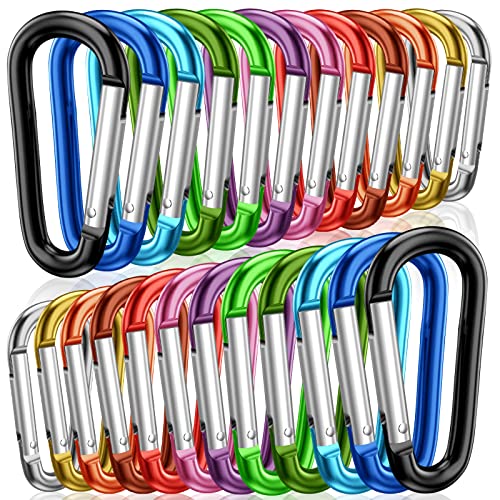 STURME 2' Aluminum D Ring Carabiners Clip D Shape Spring Loaded Gate Small Keychain Carabiner Clip Set Outdoor Camping Mini Lock Snap Hooks Spring Link Key Chain Durable Improved 24 PCS (Assorted)