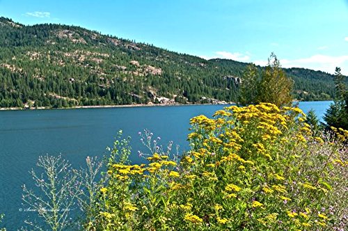 Imagekind Wall Art Print entitled Lake Pend Oreille, North Idaho by Sam Sherman | 32 x 21