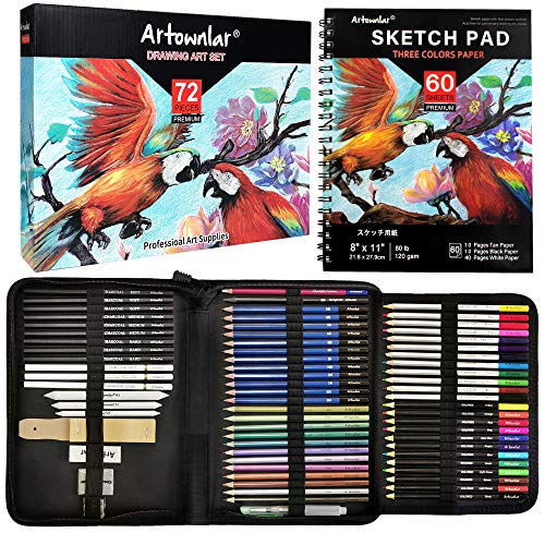 Artownlar 72 Pack Drawing Sketching Set with 8x11' Sketchbook | Pro Art Supplies Kit for Artist Adults Teens Beginner | Graphite Charcoal, Watercolor & Metallic Colored Pencils in Gift Case.