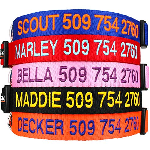 GoTags Personalized Dog Collar, Custom Embroidered Pet ID Dog Collar with Pet Name and Phone Number, Adjustable with Quick Release Snap Buckle