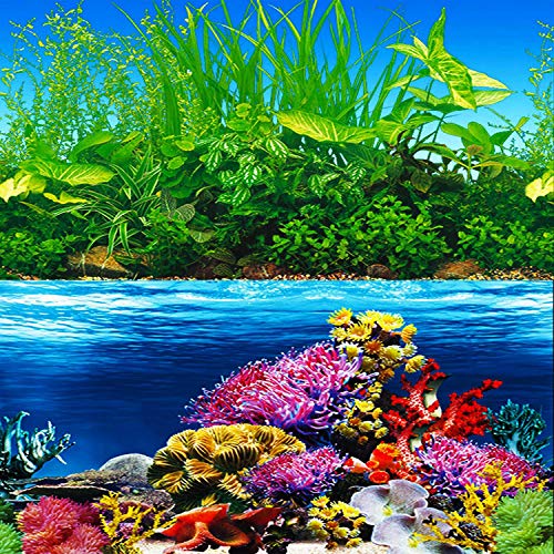 ELEBOX New 20' x 48' Fish Tank Background Paper Wallpaper 2 Sided Colorful Seaweed Water Plants Aquarium Background Picture