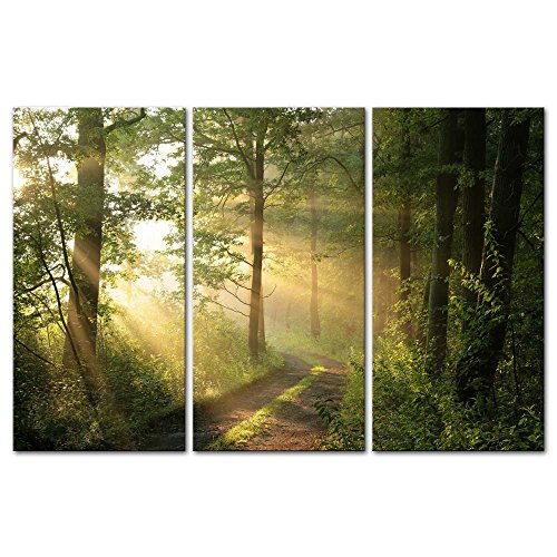 Forest Nature Wall Art Decor Sunshine Through Forest and Road Canvas Pictures Artwork 3 Panel Nuture Landscape Painting Prints for Home Living Dining Room Kitchen