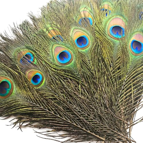 Piokio 10 pcs Natural Peacock Feathers in Bulk 10-12 inch(25-30 cm) Bulk for DIY Craft, Wedding, Mardi Gras Decoration